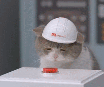 Cat pressing the nuclear button;
