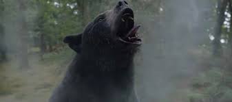 Cocaine Bear growling in the Cocaine Bear movie;